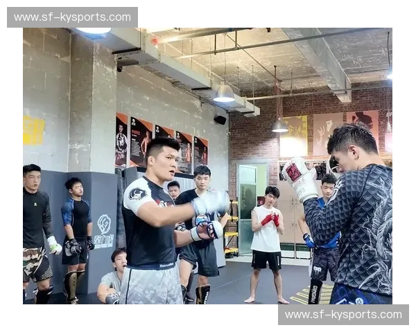 MMA综合格斗入口地址——走进激烈与激情的世界