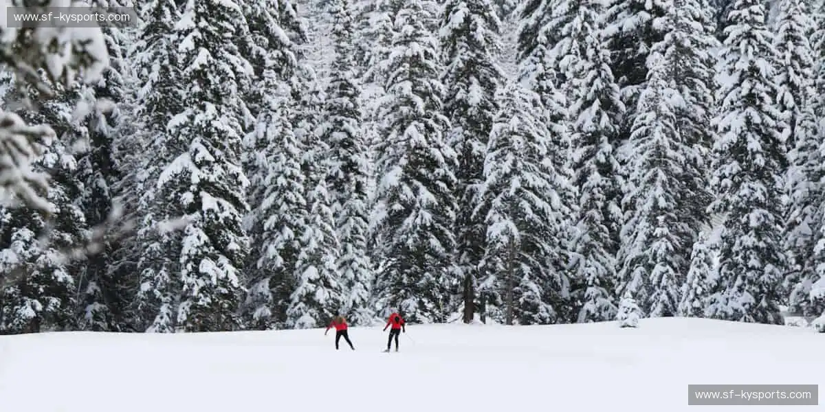 📱随时随地,精彩赛事永不离线!